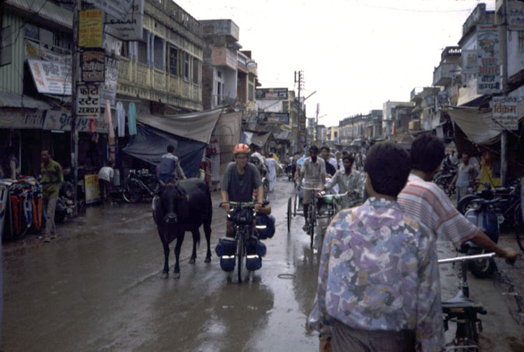 Mud, filth, and cows in the streets.